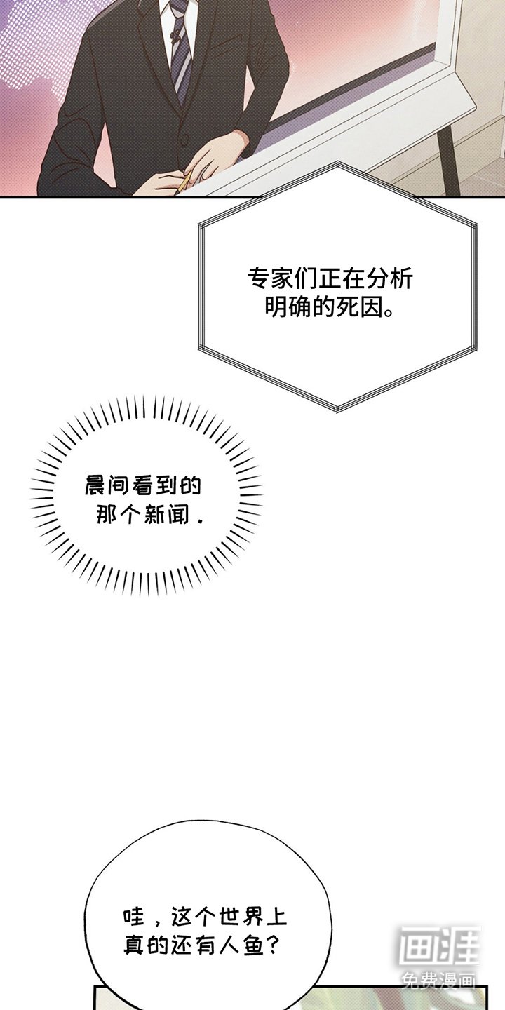 第5章：最重要的事情