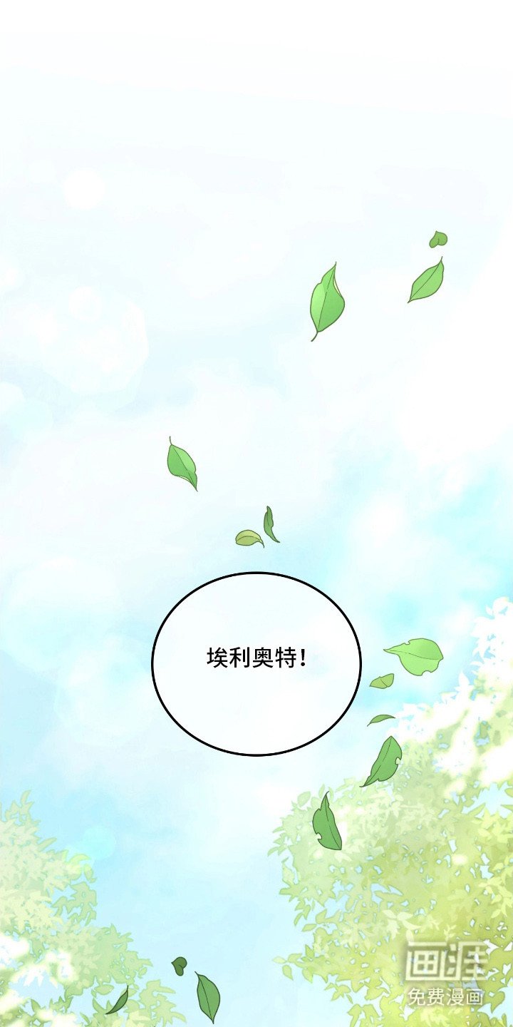 第12章：逐渐适应