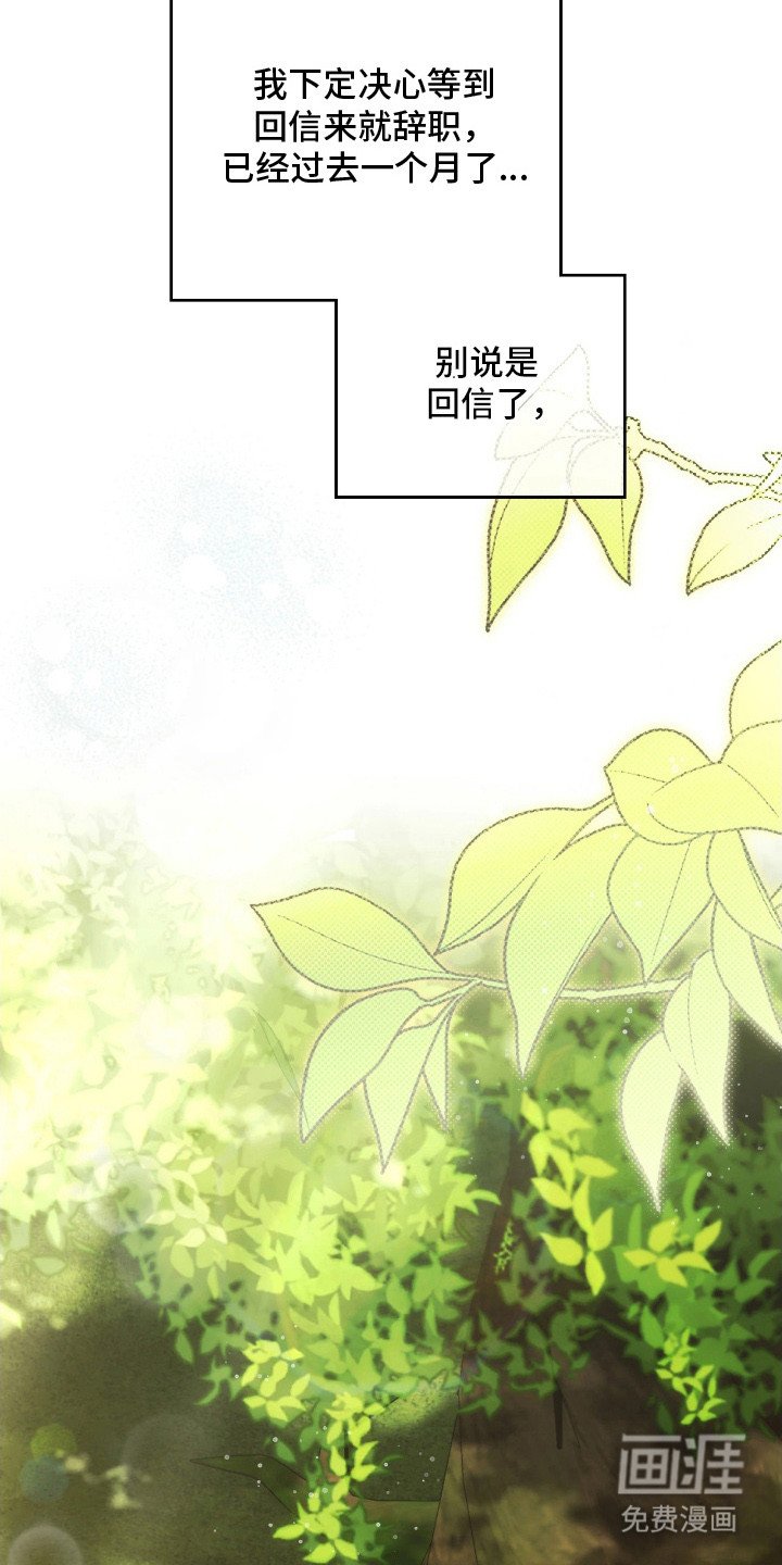 第12章：逐渐适应