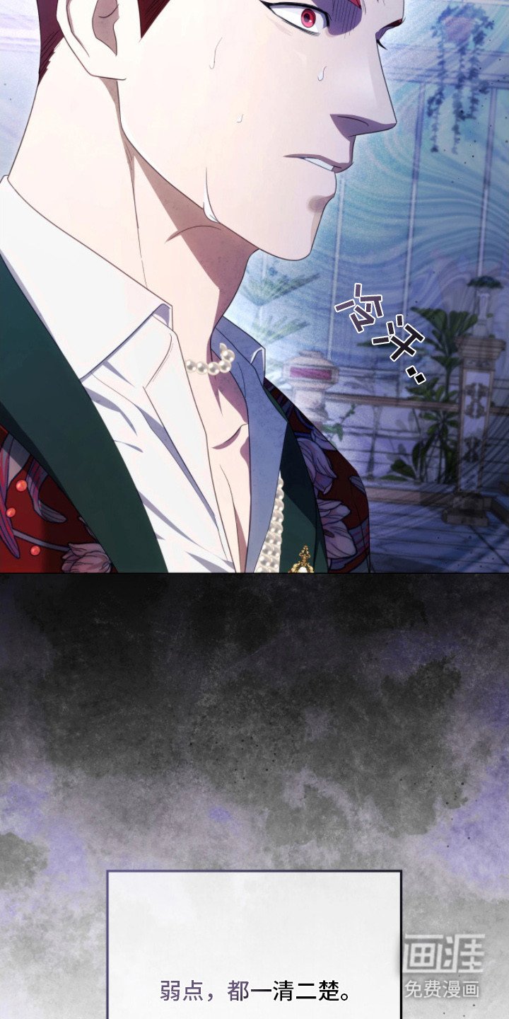 第15章：弱点