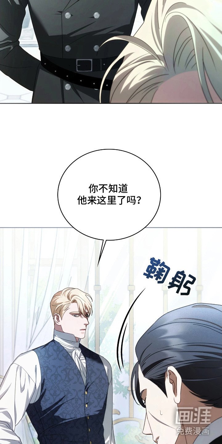 第18章：特别关注