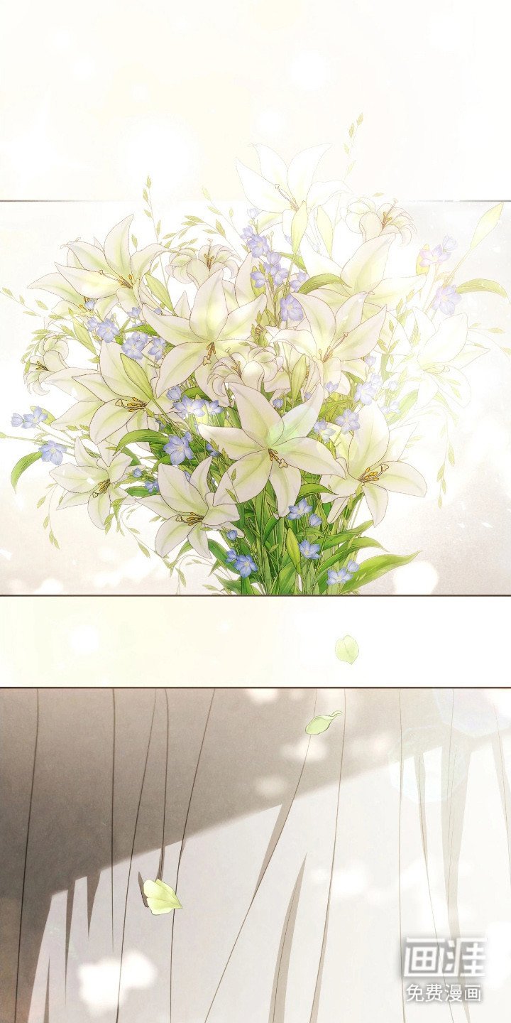第18章：特别关注