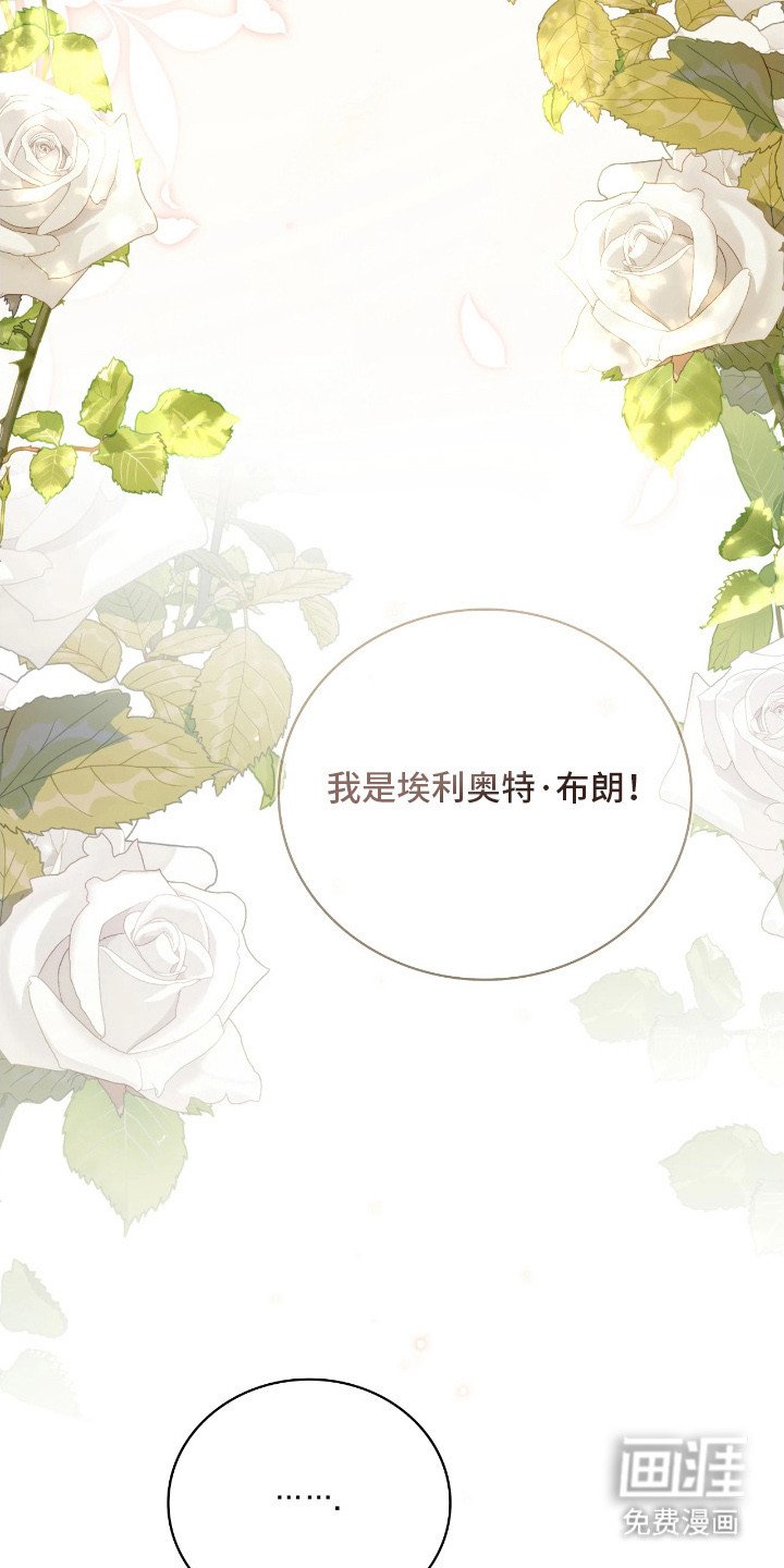 第18章：特别关注