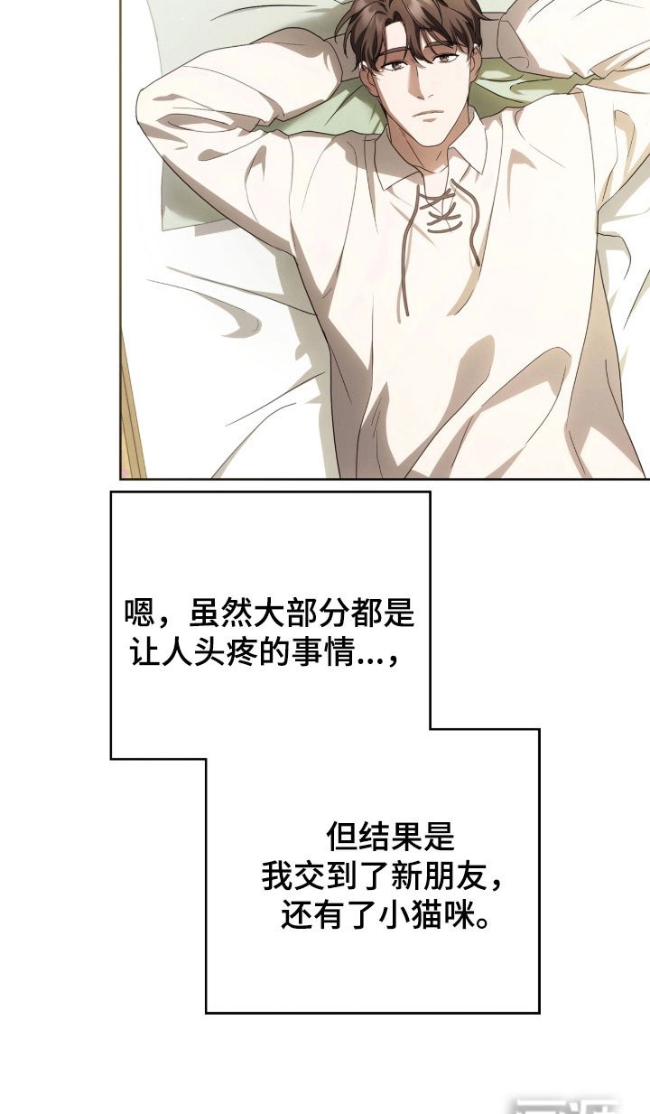 第20章：决定辞职
