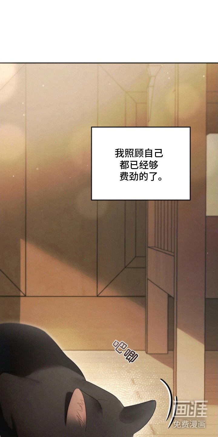 第3章：忧虑