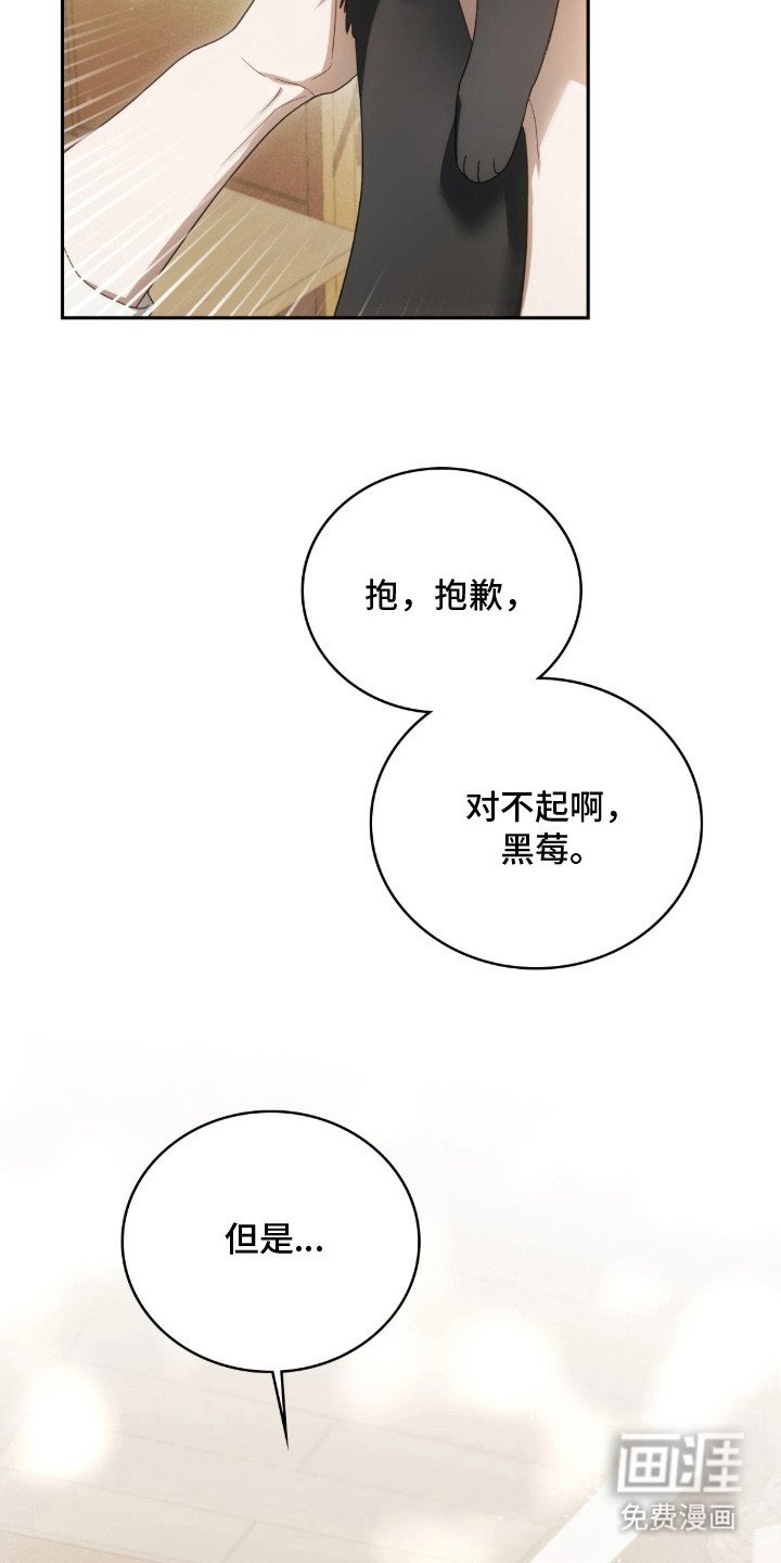 第6章：解决办法