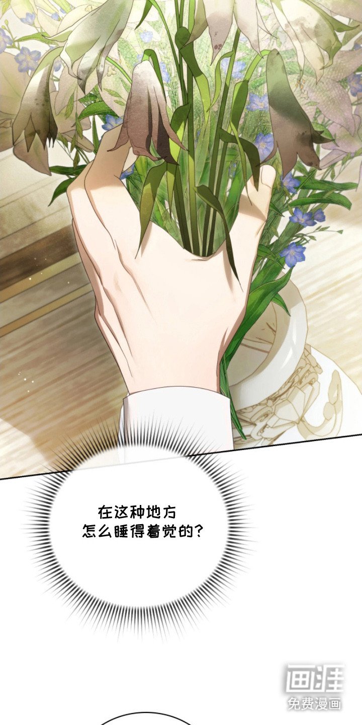 第9章：隐秘的鄙视