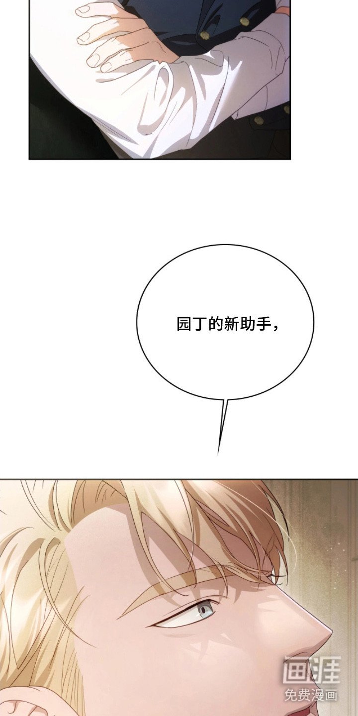 第9章：隐秘的鄙视