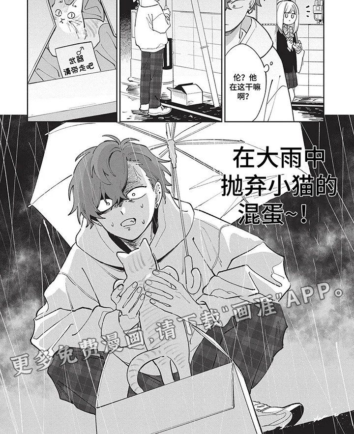 第5章：捡到小猫