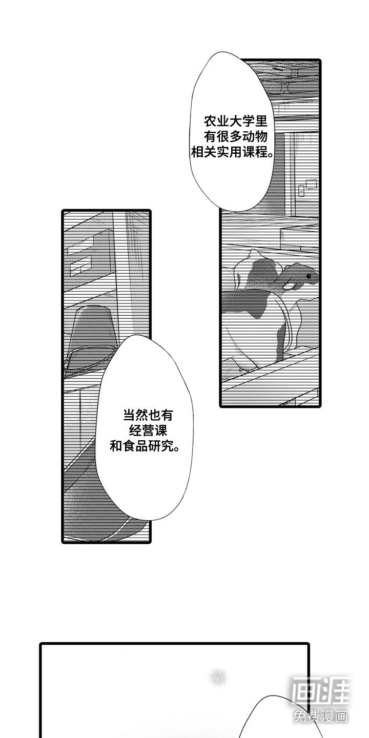第10章：茶壶