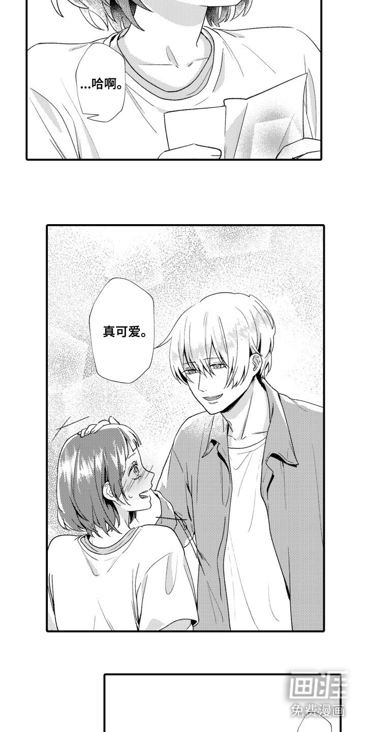 第19章：高分