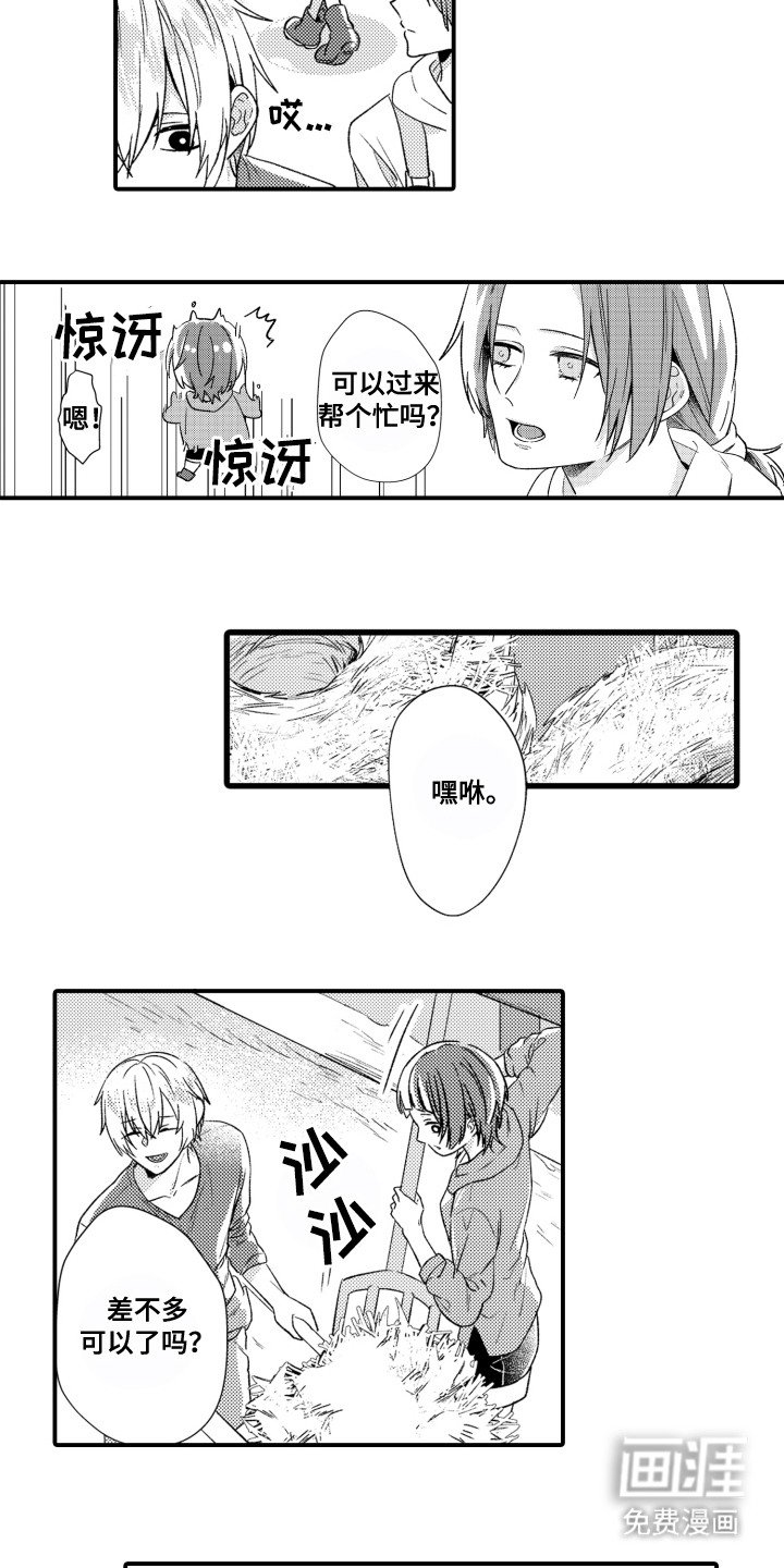 第3章：相册