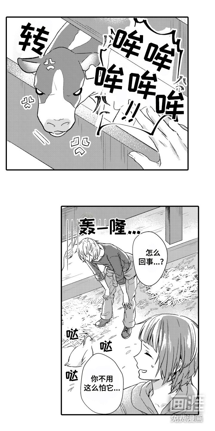 第3章：相册