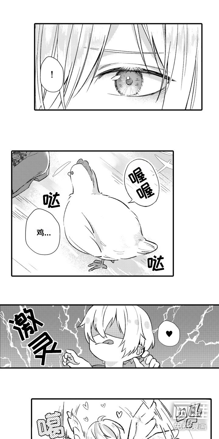 第3章：相册