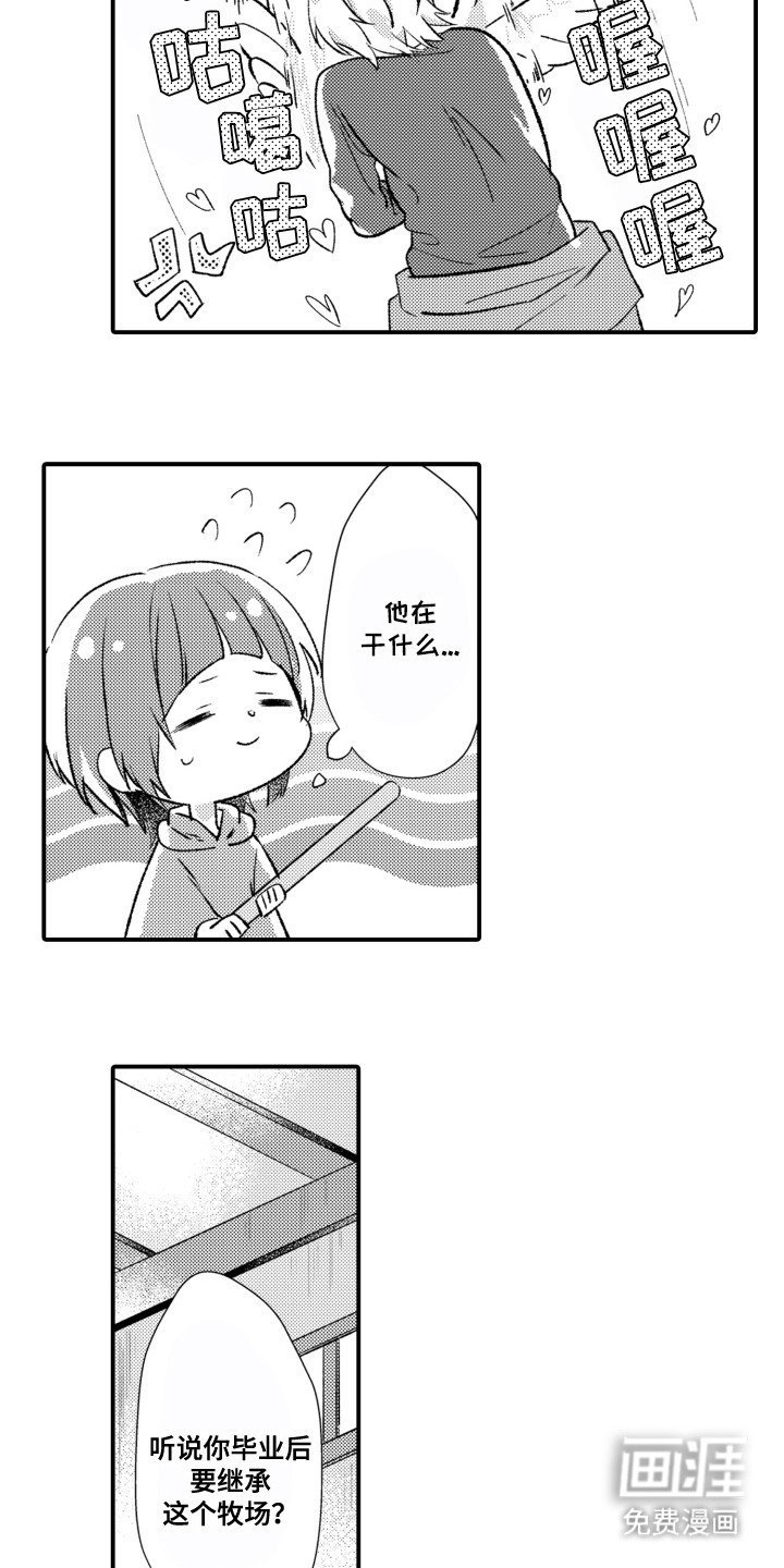 第3章：相册