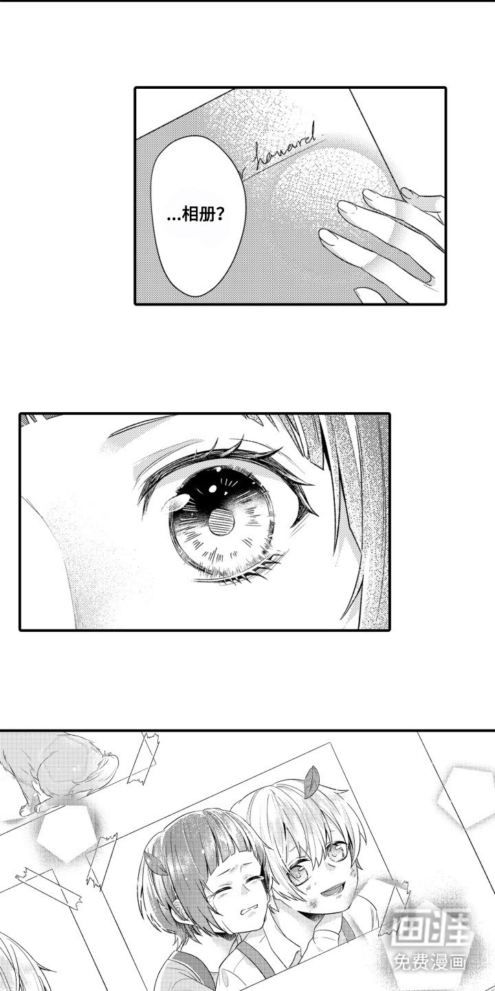第3章：相册