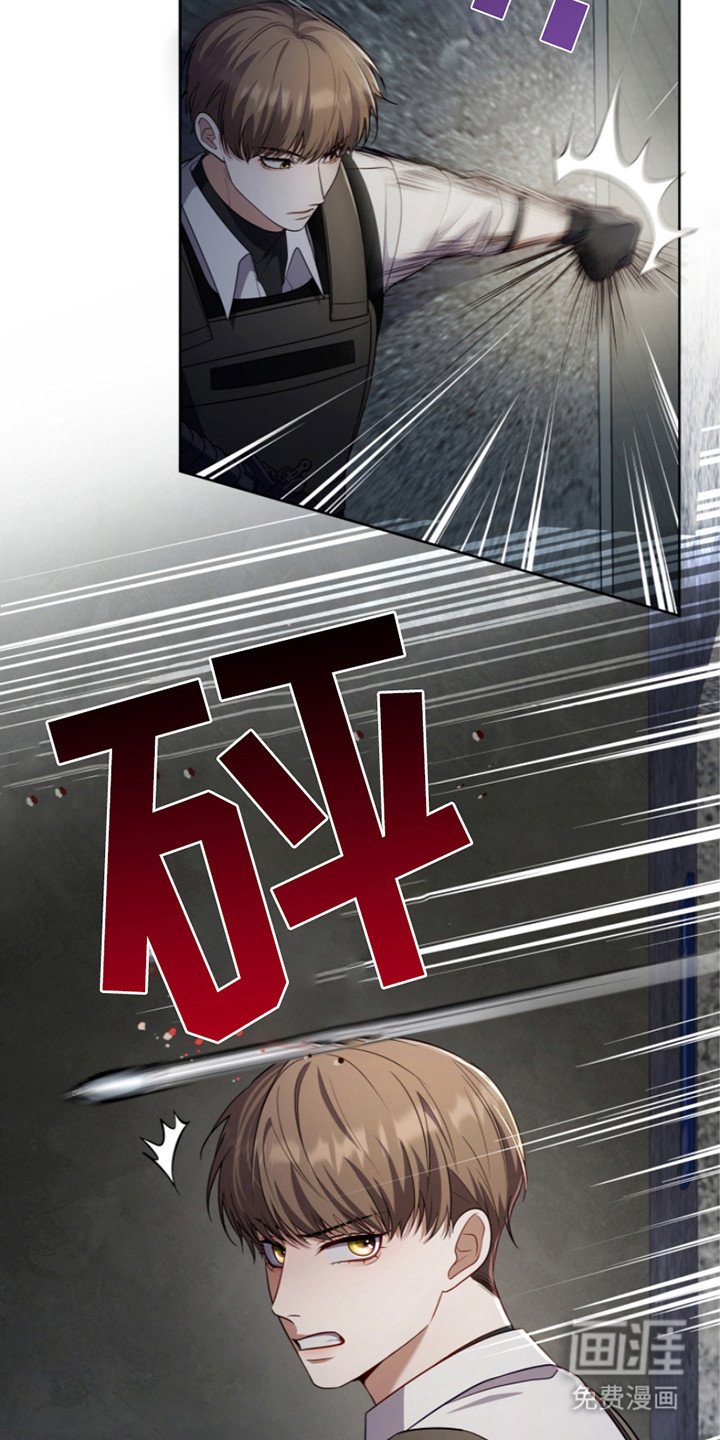 第16章：实战训练