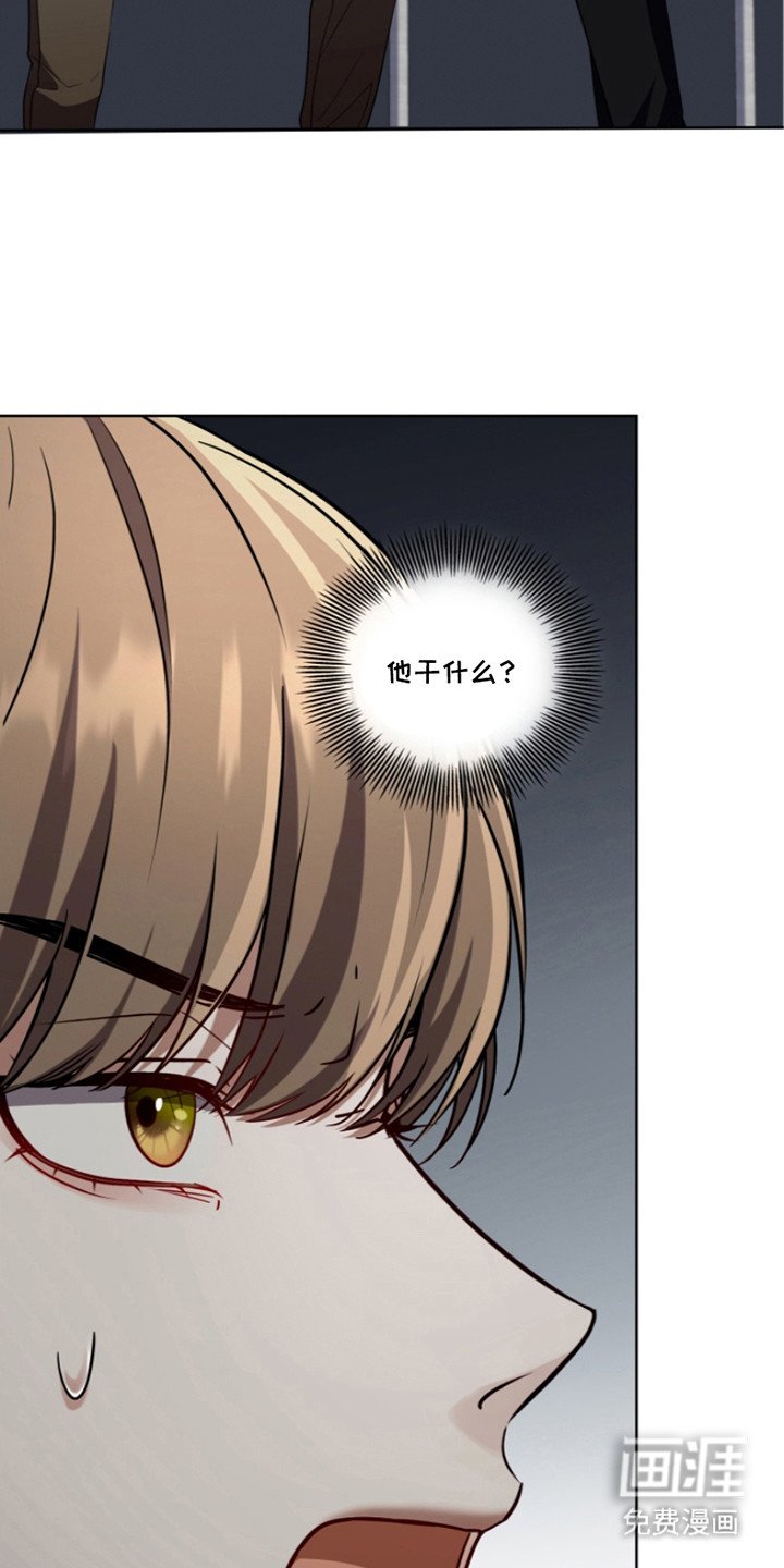 第20章：最高分