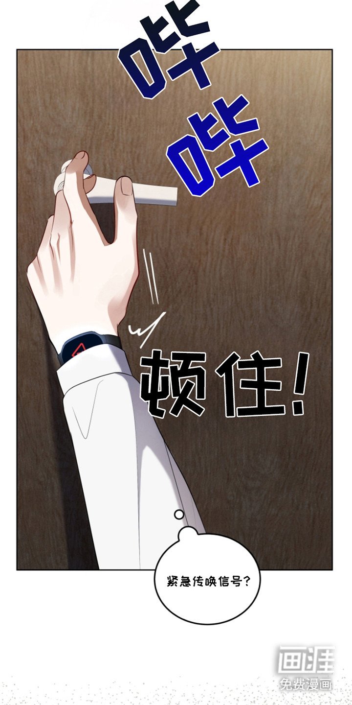 第23章：传唤信号