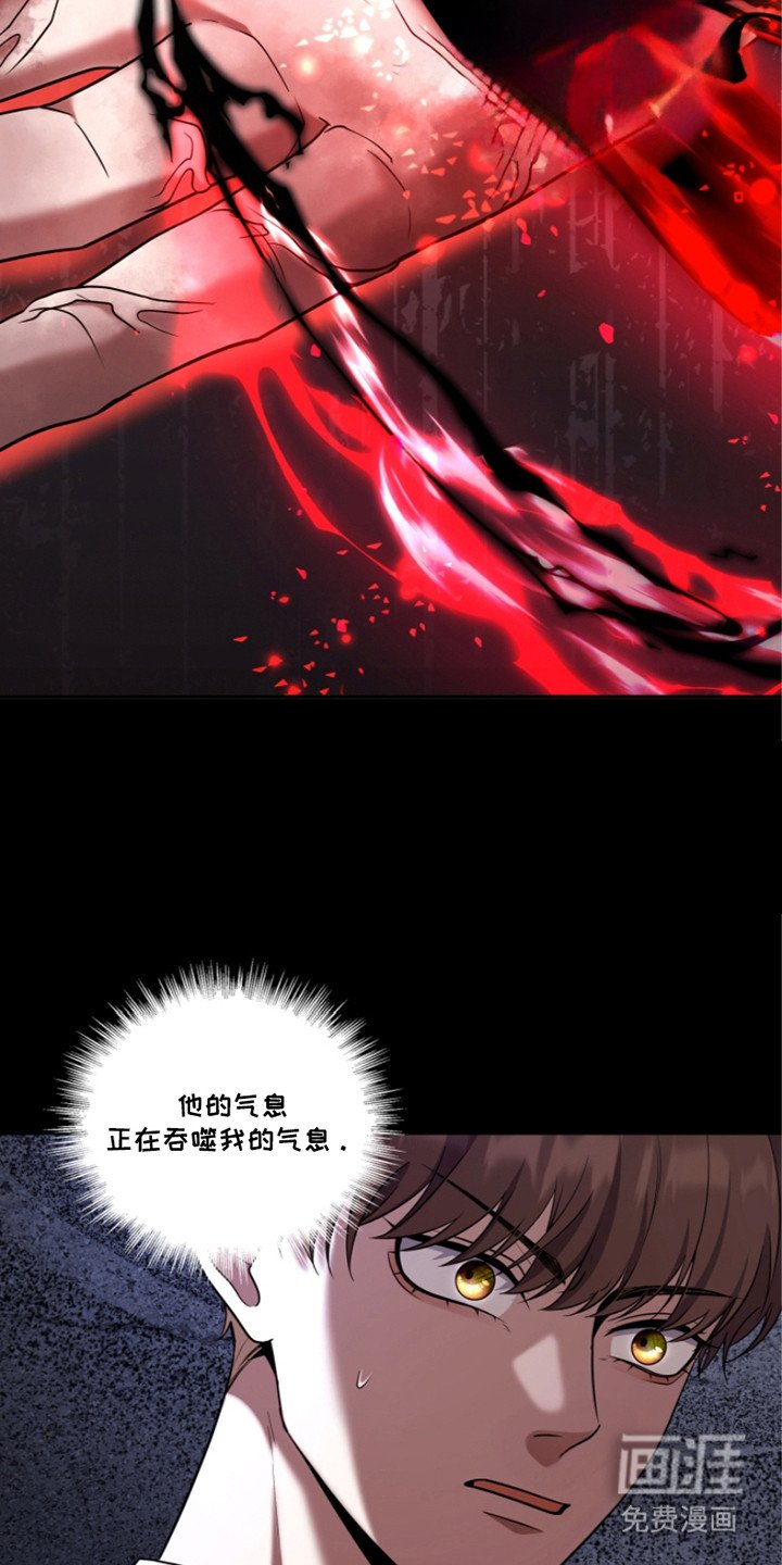 第24章：暴走