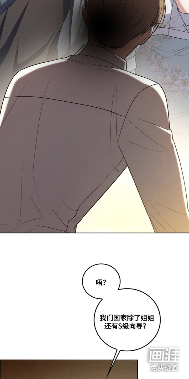 第27章：辅助