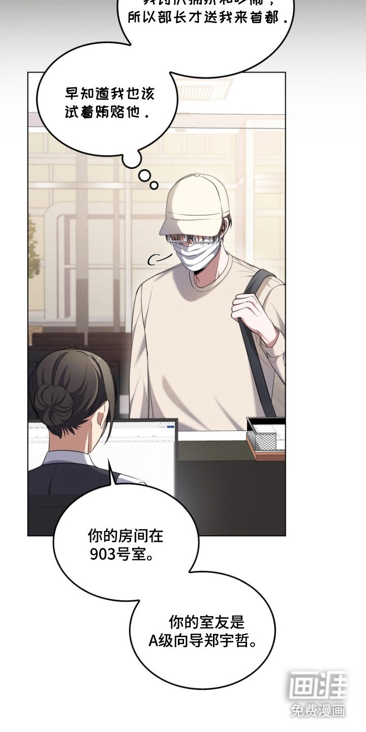 第3章：双重能力