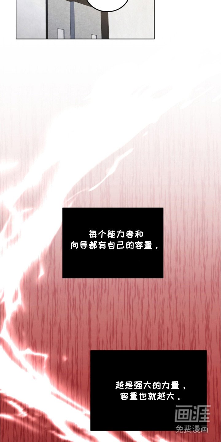 第5章：消耗品