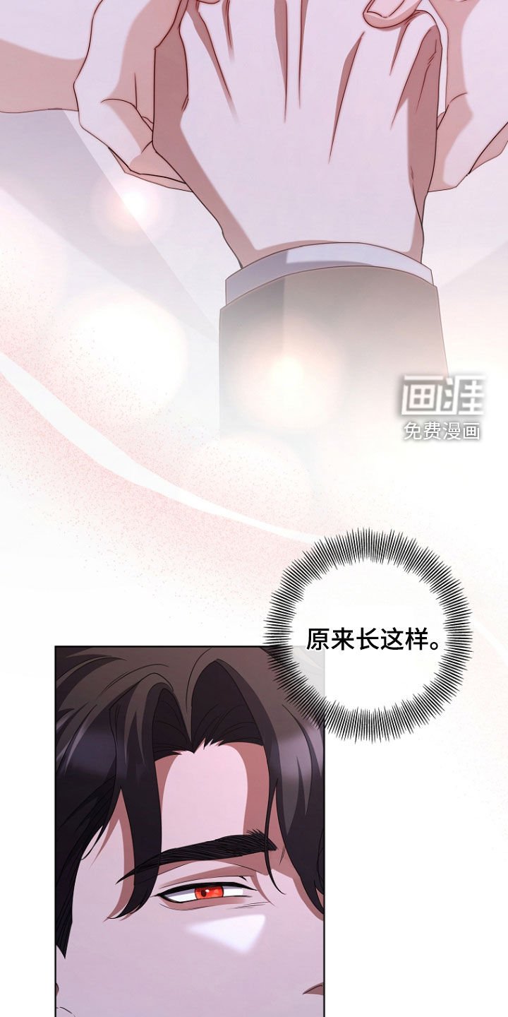 第64章：记忆涌现