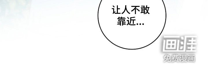 第91章：我喜欢他
