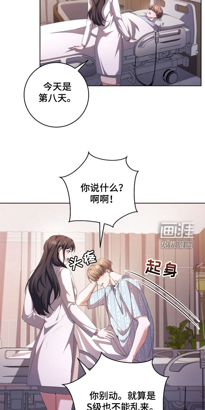 第92章：苏醒