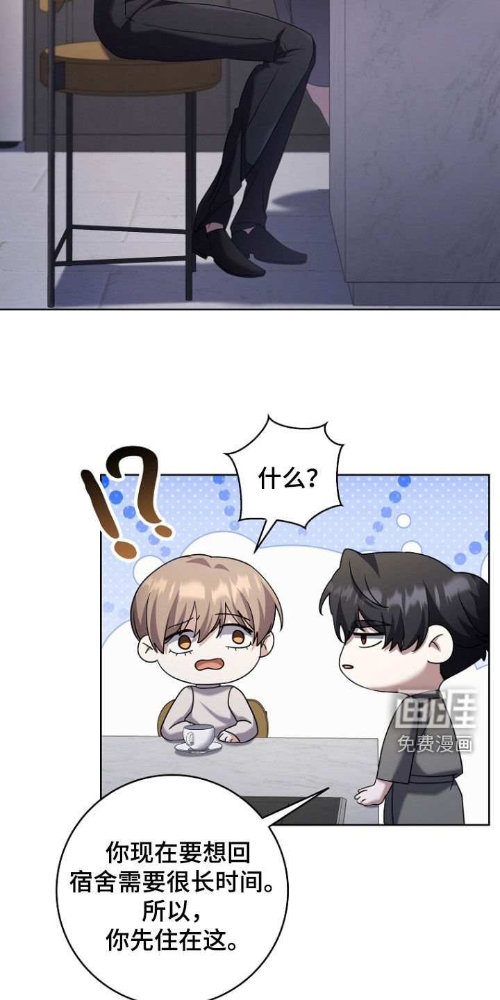 第95章：我不喜欢太亮