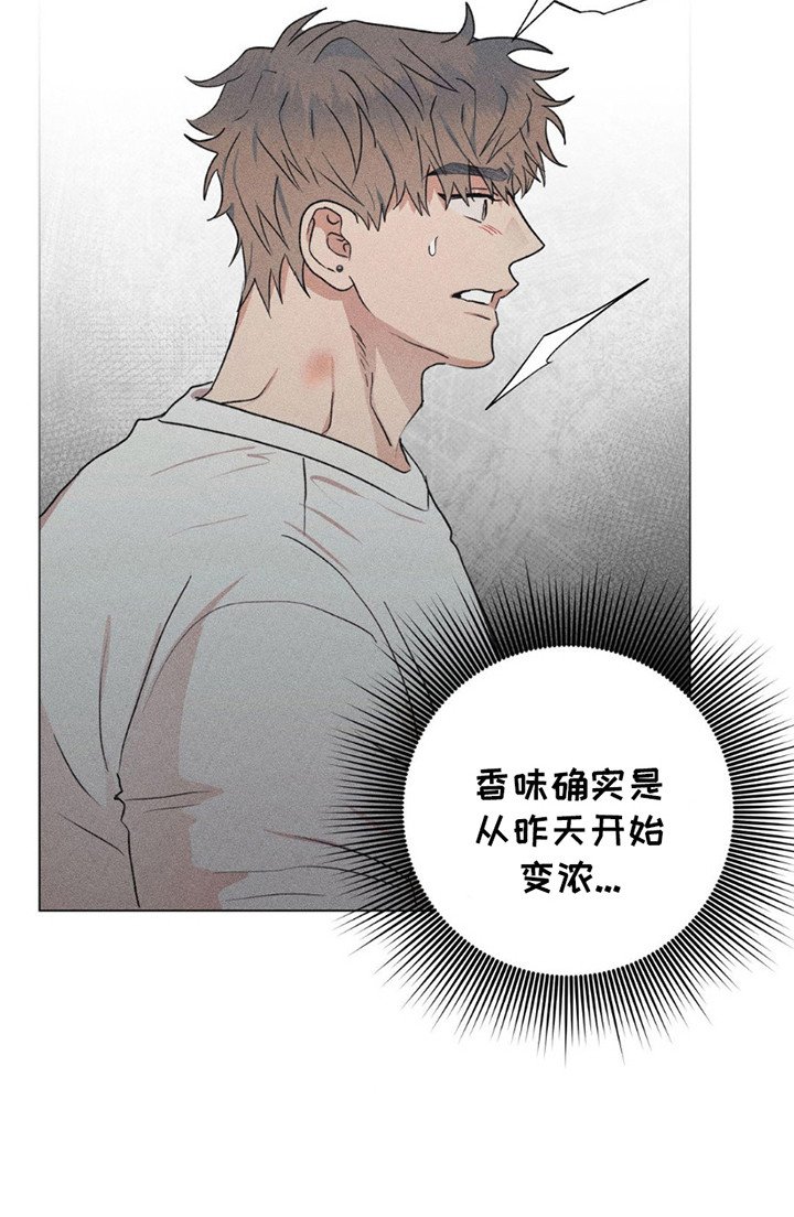第10章：复查