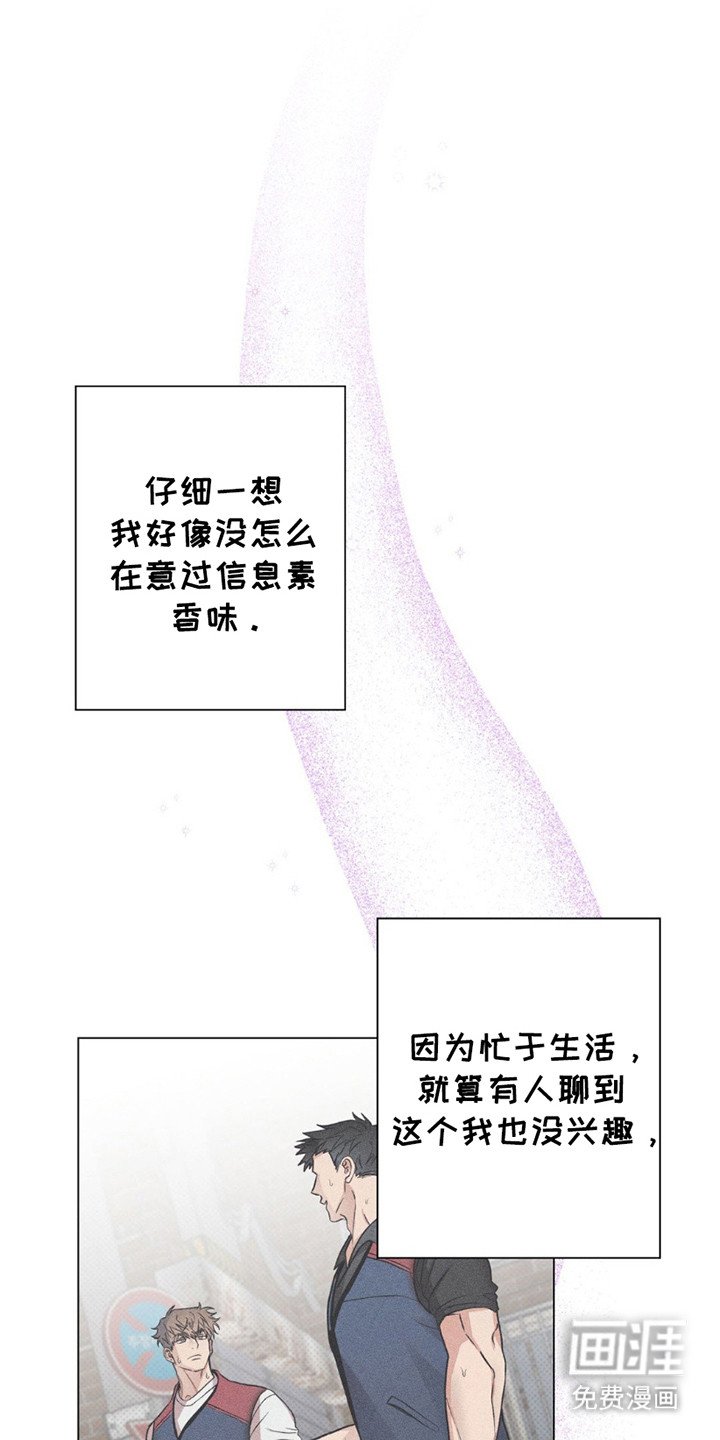 第11章：命运的伴侣