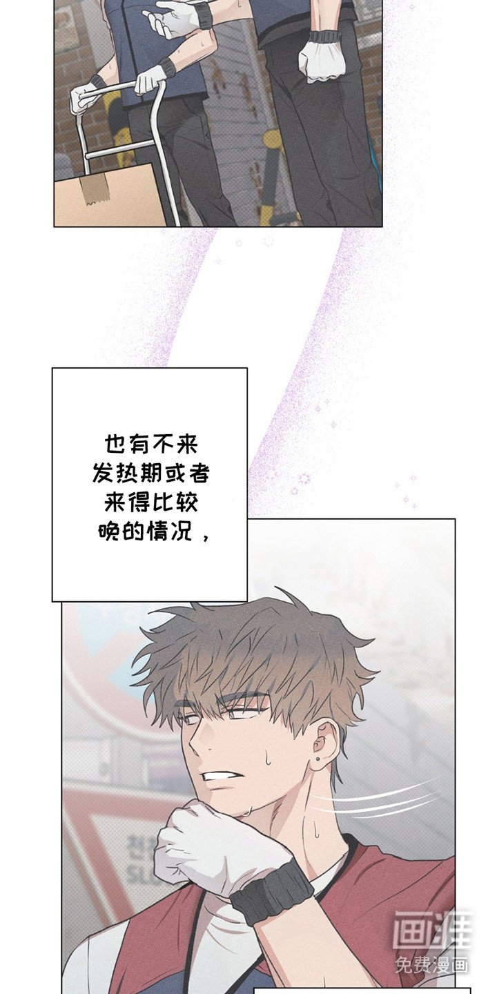 第11章：命运的伴侣