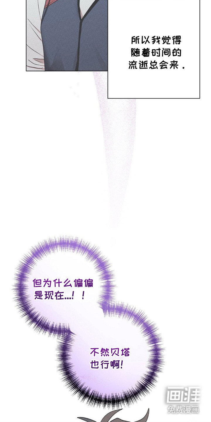 第11章：命运的伴侣