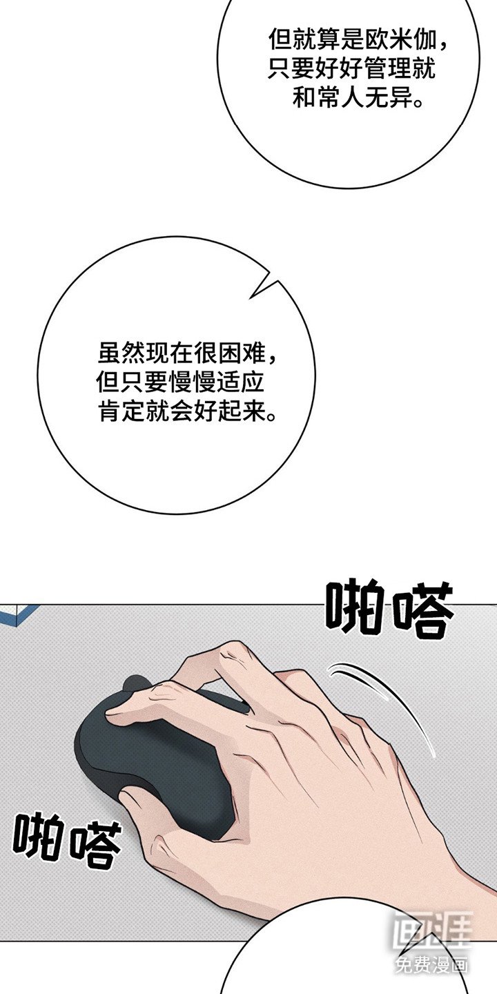 第11章：命运的伴侣