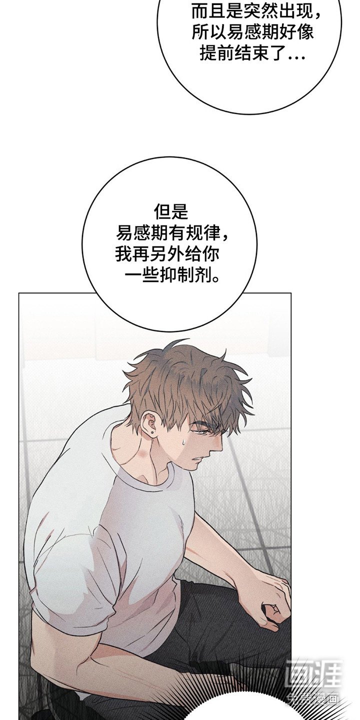 第11章：命运的伴侣