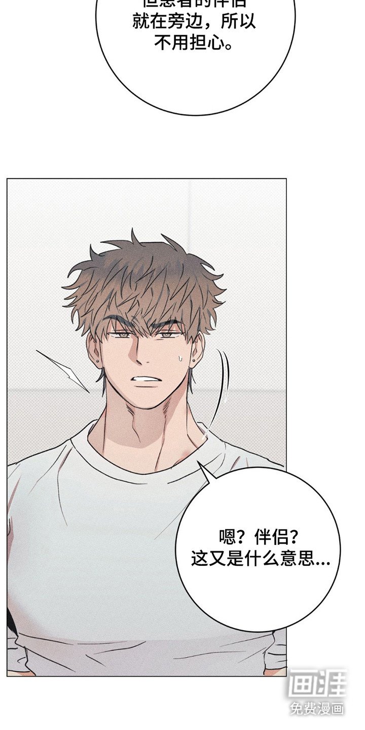 第11章：命运的伴侣