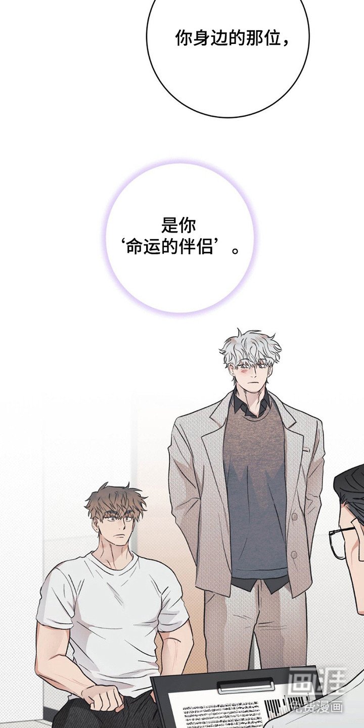第11章：命运的伴侣