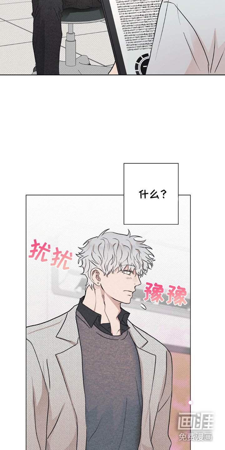 第11章：命运的伴侣
