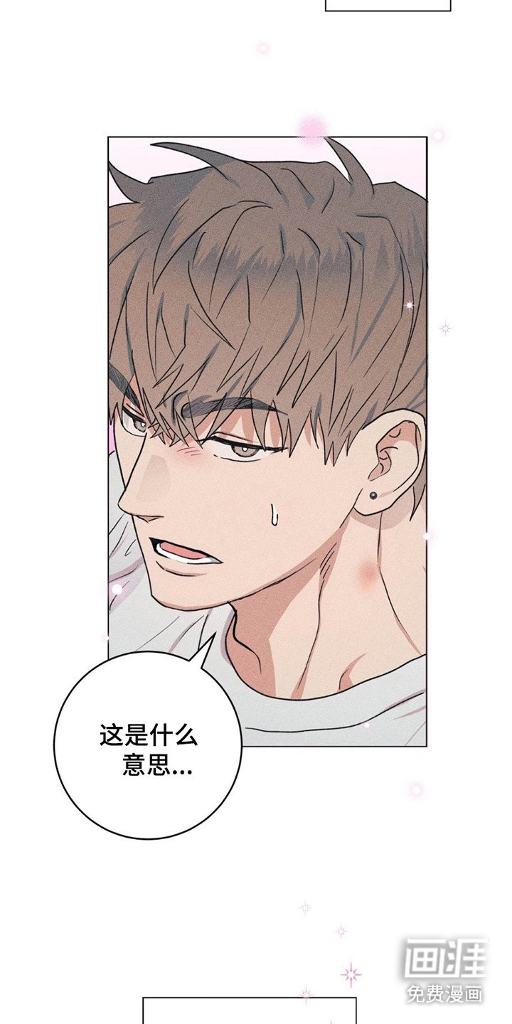 第11章：命运的伴侣