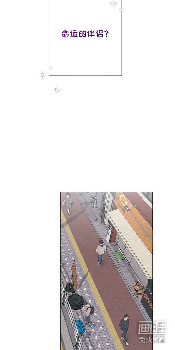第11章：命运的伴侣