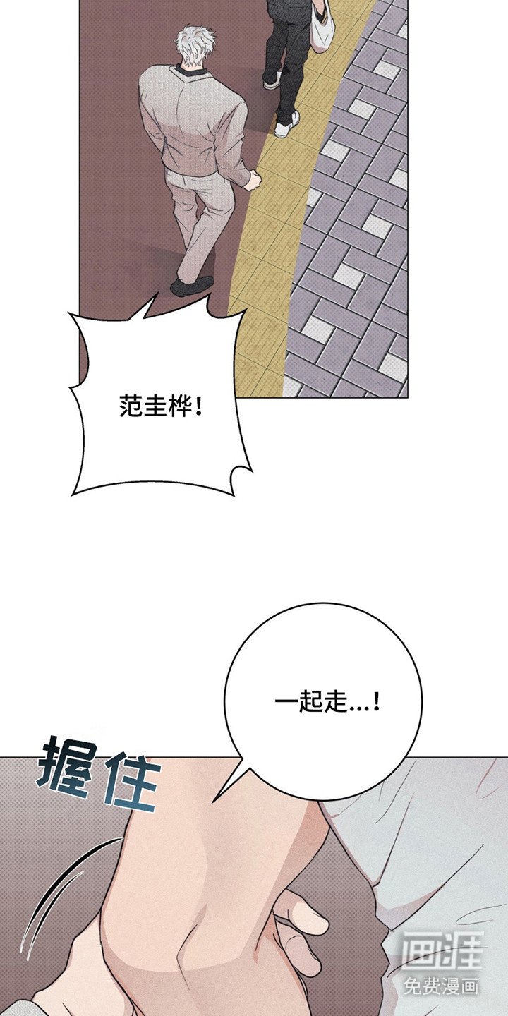 第11章：命运的伴侣