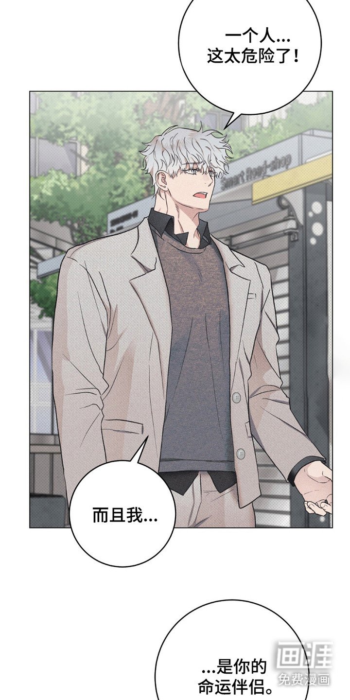 第11章：命运的伴侣