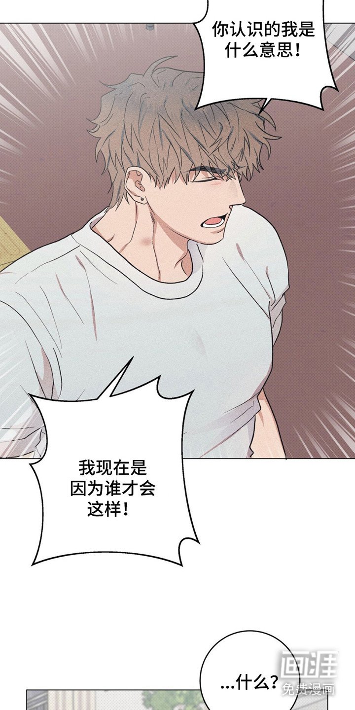 第13章：原因