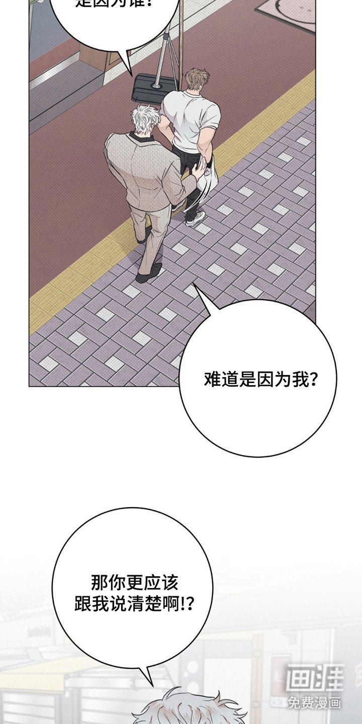 第13章：原因