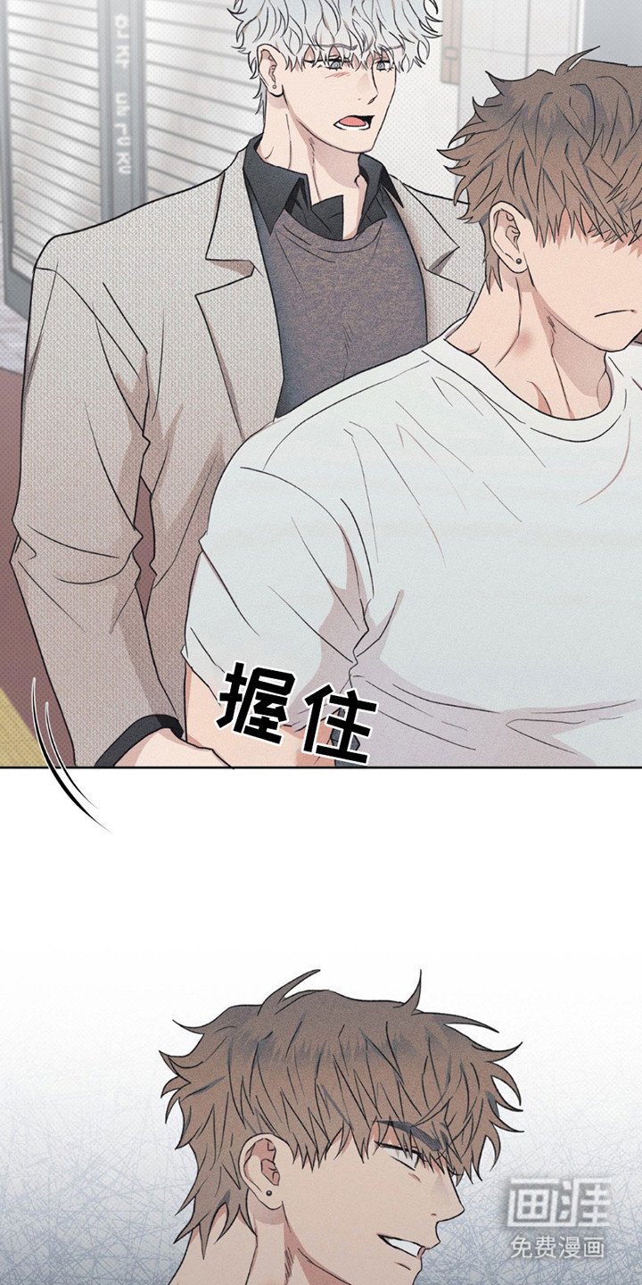 第13章：原因
