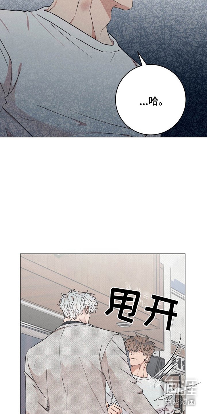 第13章：原因