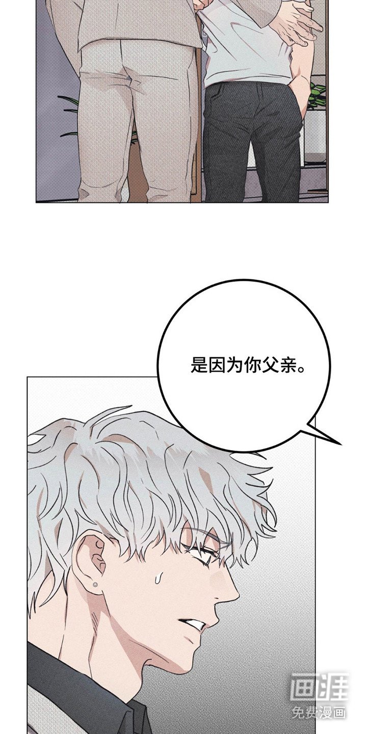 第13章：原因
