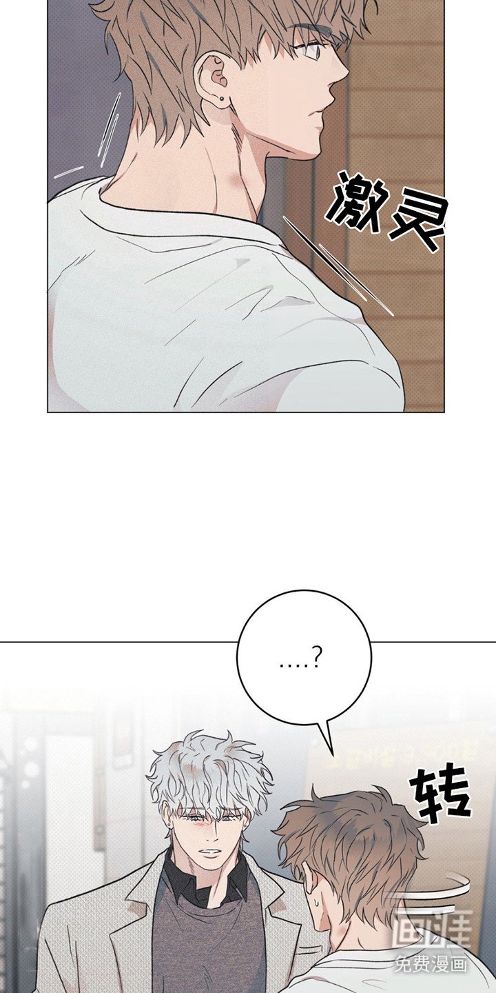 第13章：原因